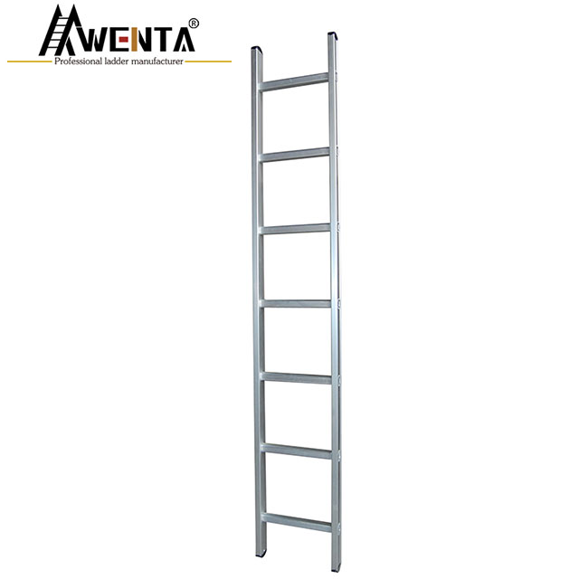 Single Extension Ladder