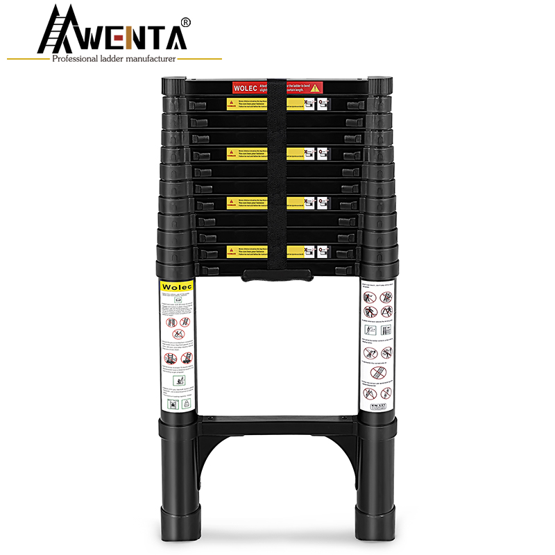 Aluminum Telescopic Black straight ladder