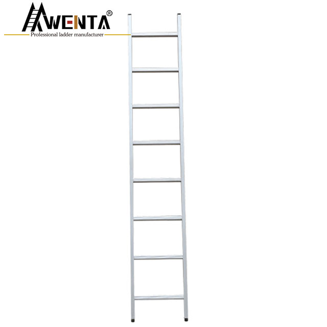 Single Extension Ladder