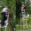 Telescopic Multifunction ladder-3 steps