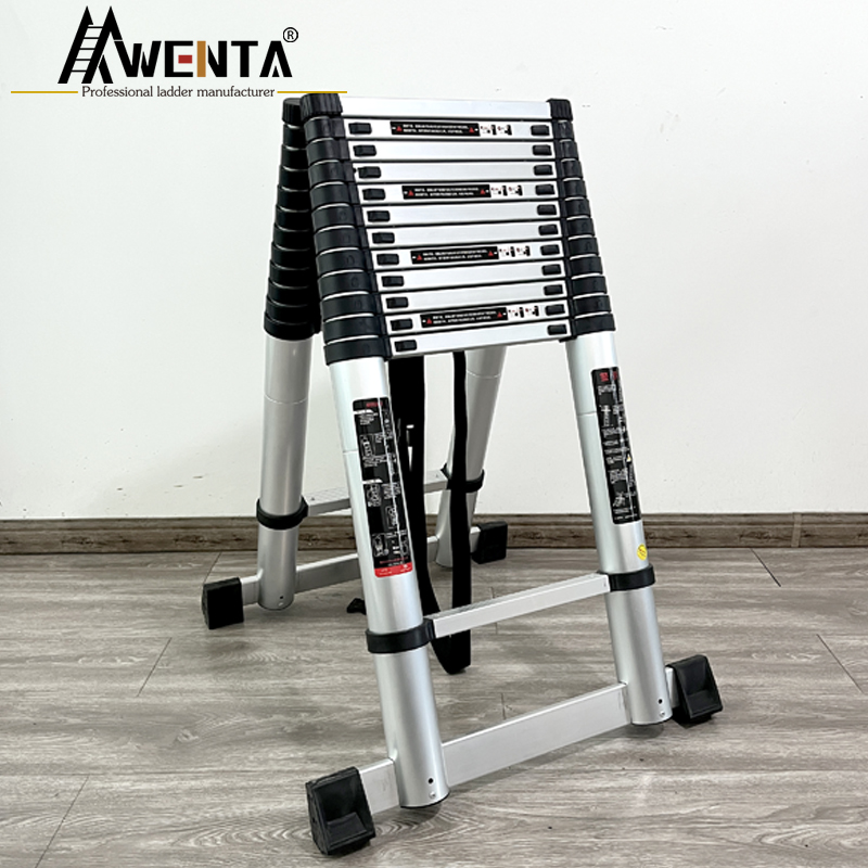 Double-side Ladder-5m+5m
