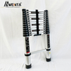 Telescopic Straight Ladder-4.1m