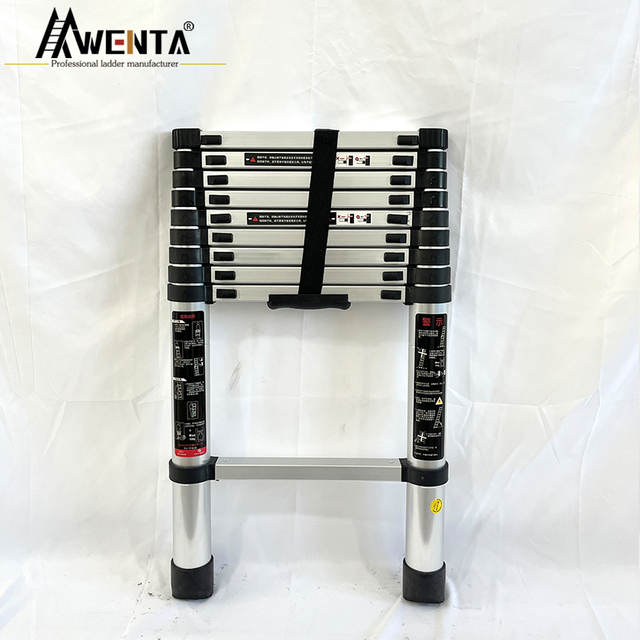 Telescopic Straight Ladder-2.9m