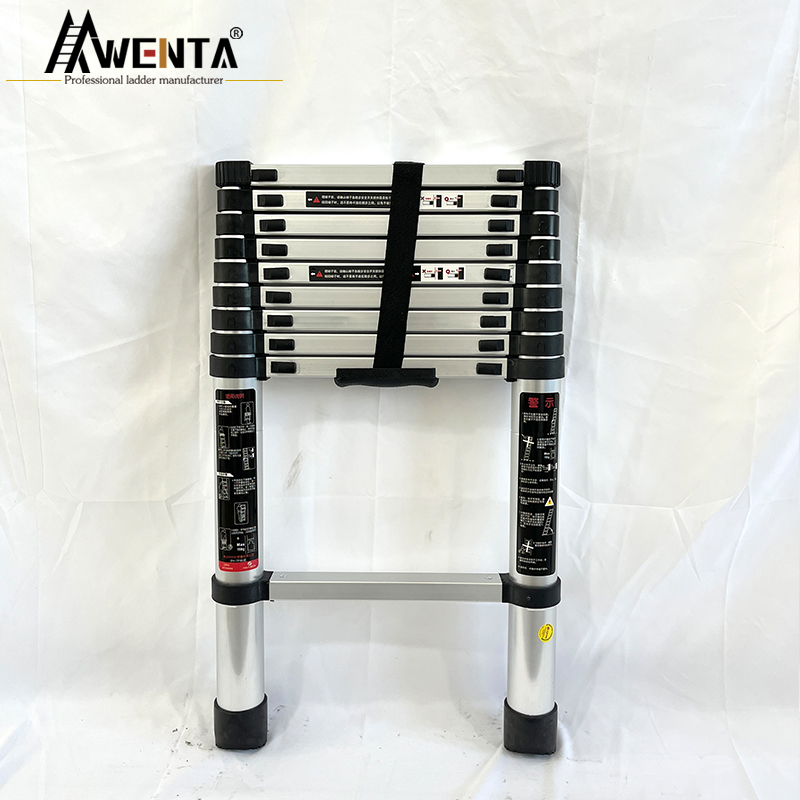 Telescopic Straight Ladder-2.9m
