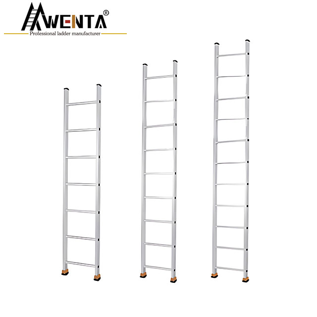 Single Extension Ladder