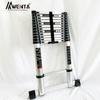 Telescopic Straight Ladder-5m